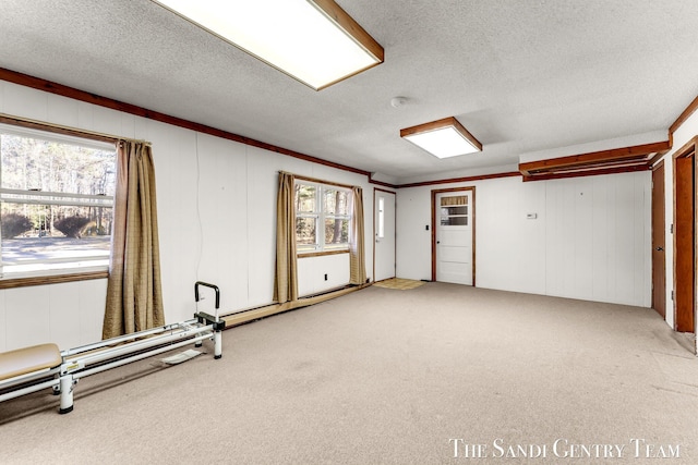 interior space with plenty of natural light, light colored carpet, a textured ceiling, and crown molding