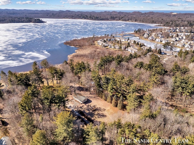 bird's eye view featuring a water view and a wooded view