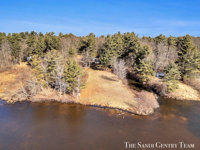 aerial view featuring a forest view