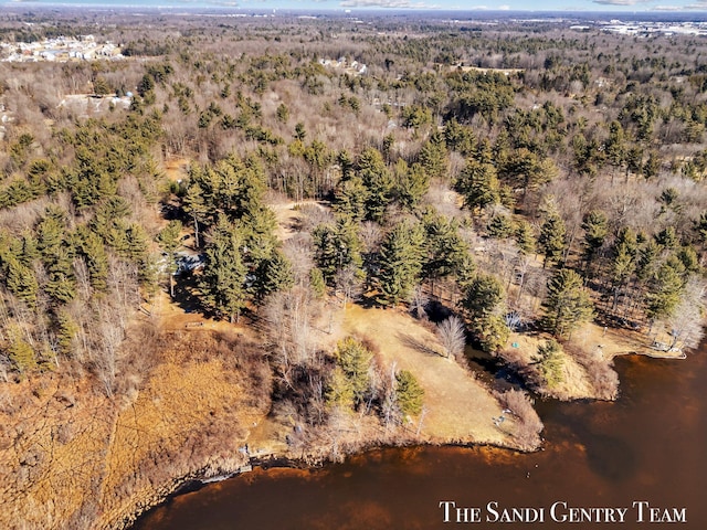 aerial view with a forest view