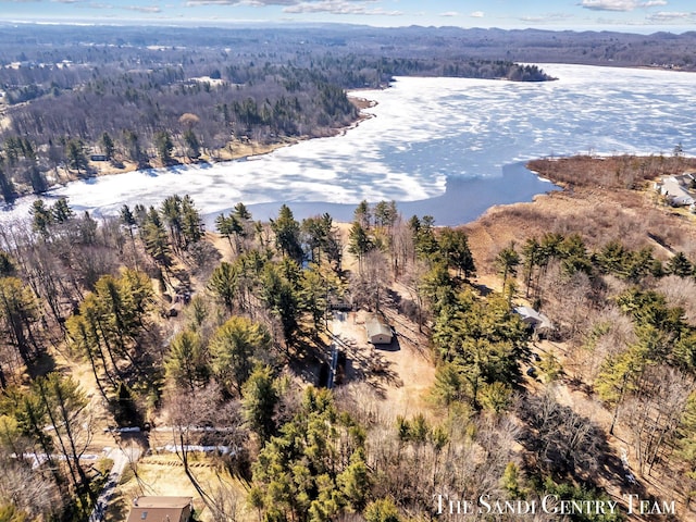 birds eye view of property featuring a view of trees and a water view