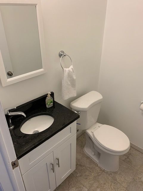 bathroom with vanity and toilet