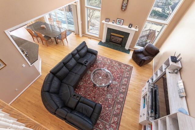 living area featuring wood finished floors and a fireplace