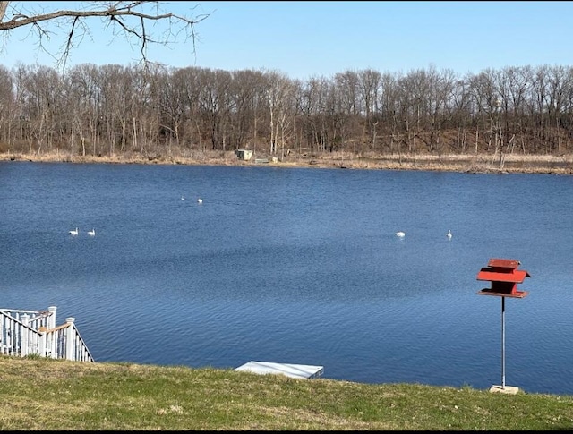 view of water feature