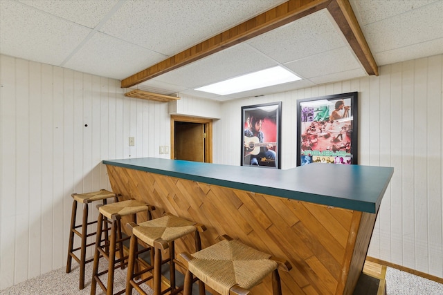 bar featuring a drop ceiling, carpet flooring, and a bar