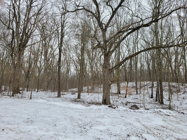 view of snowy yard