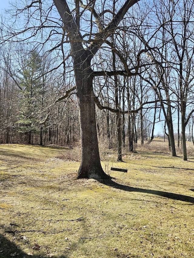 view of landscape