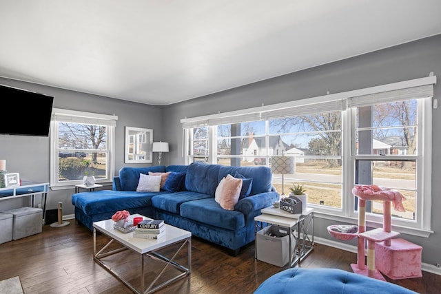 living area featuring baseboards and wood finished floors