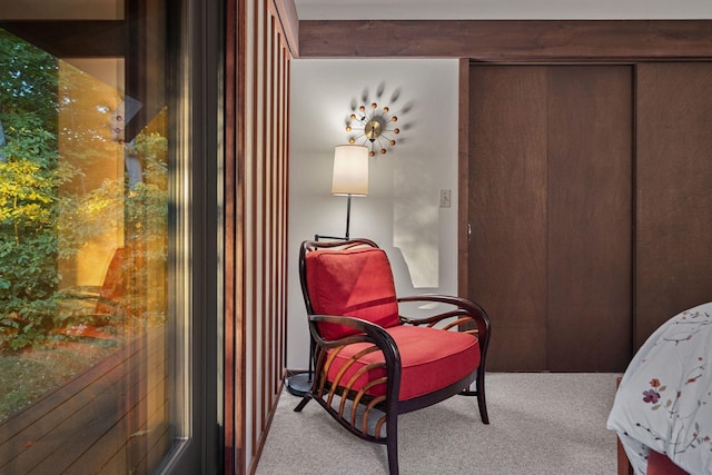 carpeted bedroom featuring a closet