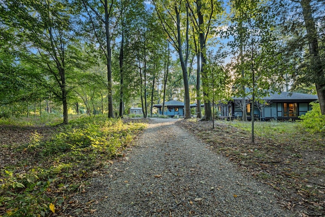 view of street with gravel driveway