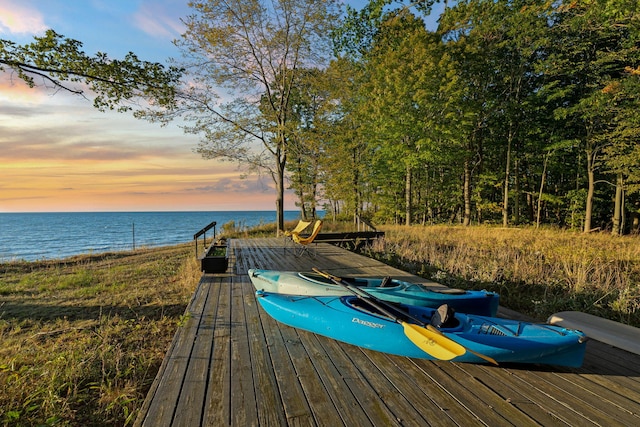 dock area with a water view