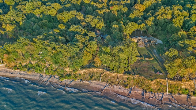 bird's eye view featuring a wooded view