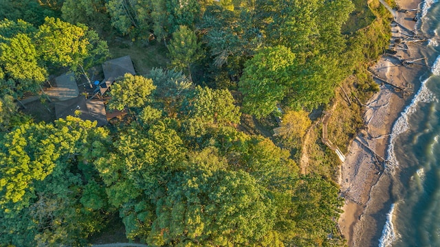 aerial view with a view of trees