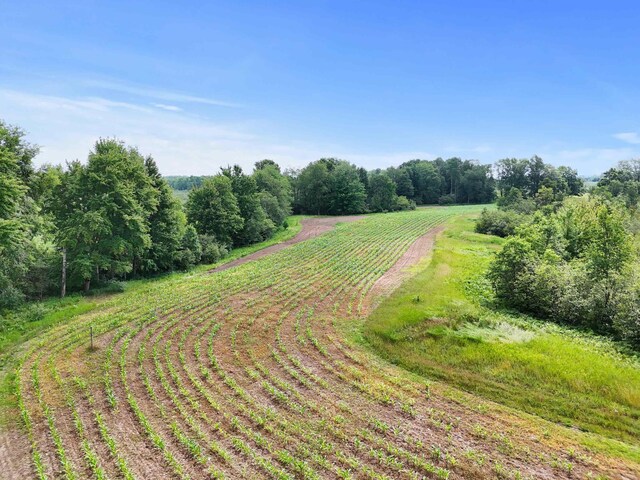 00 17 Mile Rd, Evart, MI 49631