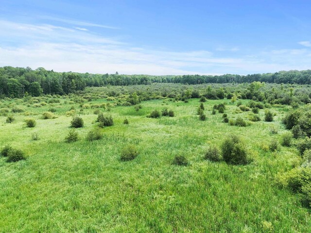 00 17 Mile Rd, Evart, MI 49631