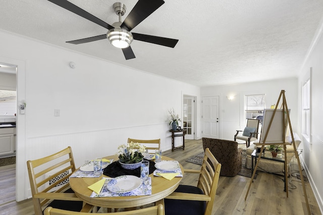 dining room with a healthy amount of sunlight, a textured ceiling, and light wood-style floors