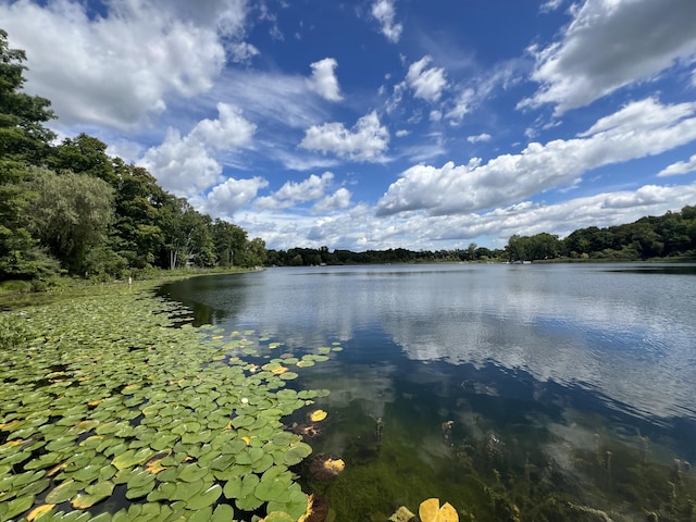 water view featuring a wooded view