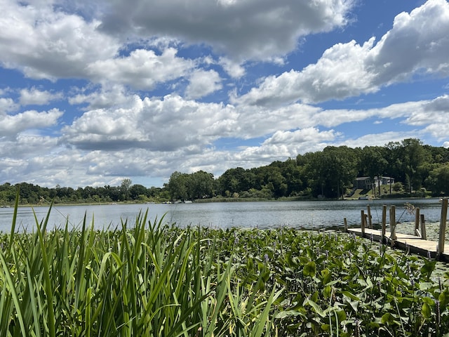 property view of water featuring a dock