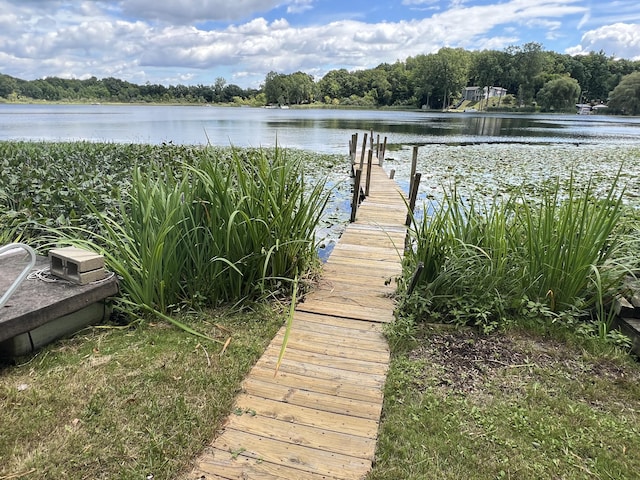 dock area with a water view