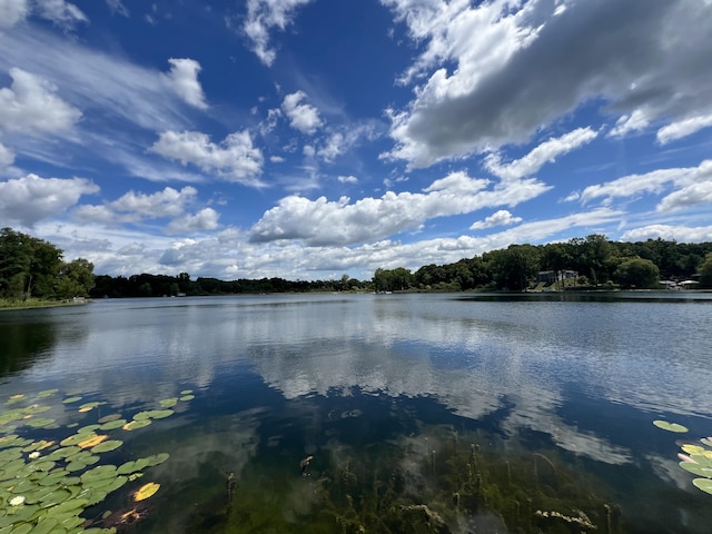 property view of water with a view of trees