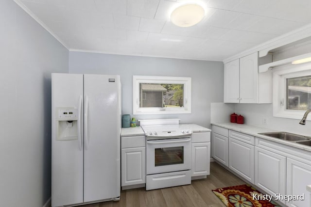 kitchen featuring white appliances, wood finished floors, light countertops, and a sink