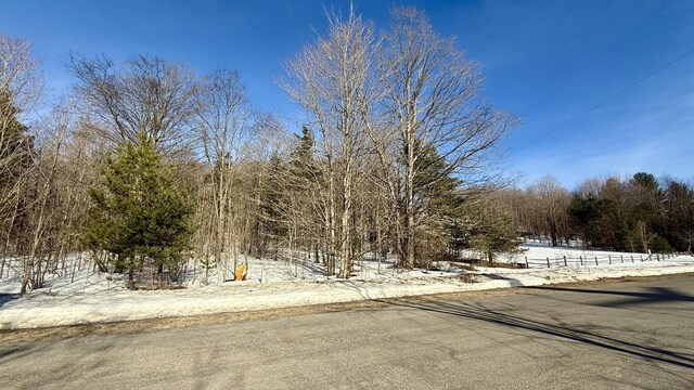 Listing photo 2 for LOT202 Clearview Dr, Bellaire MI 49615