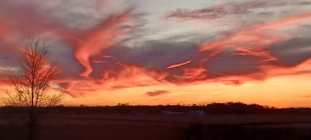 view of nature at dusk