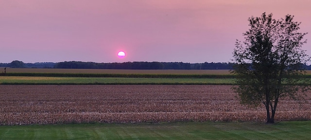 view of community featuring a rural view