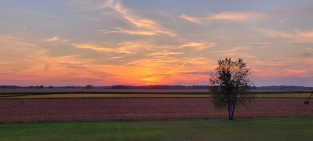 view of yard with a rural view