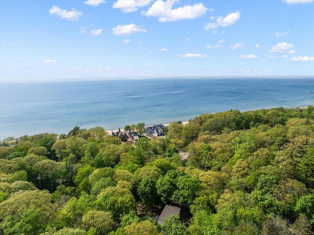 371 Dunegrass Circle Dr, Saugatuck, MI 49453 - photo 58