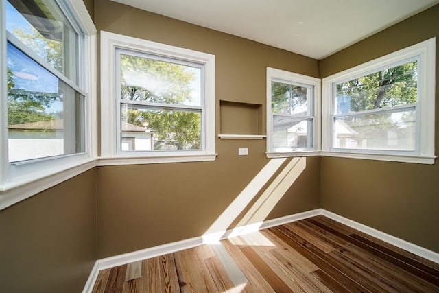 interior space with baseboards, plenty of natural light, and wood finished floors