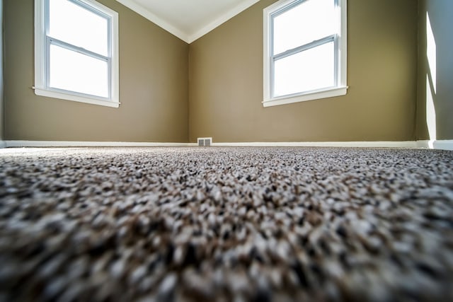 spare room featuring a healthy amount of sunlight, visible vents, and ornamental molding