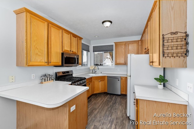 kitchen featuring a peninsula, stainless steel appliances, light countertops, and a sink