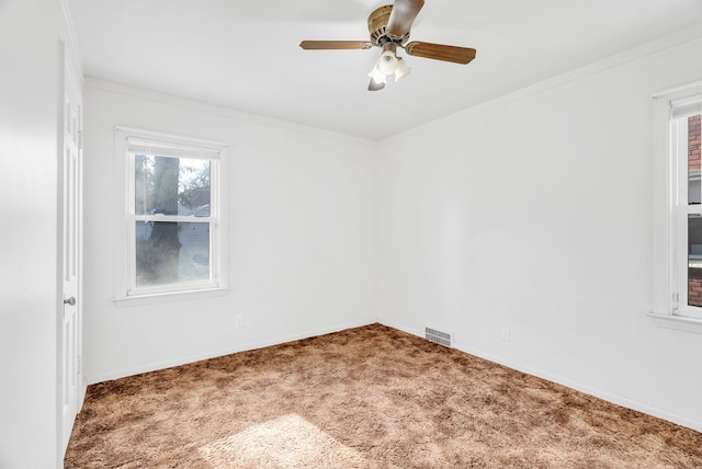 carpeted spare room featuring visible vents, baseboards, ornamental molding, and a ceiling fan