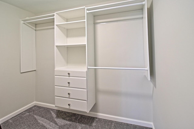 spacious closet featuring dark colored carpet