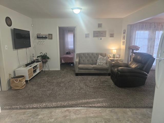 living area with carpet flooring