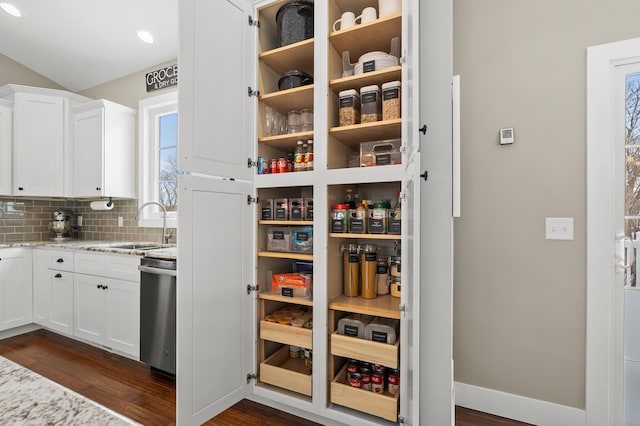 pantry with a sink