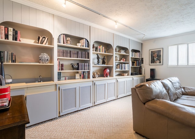 interior space featuring rail lighting, ornamental molding, light colored carpet, and a textured ceiling