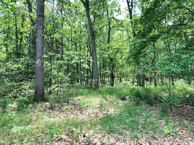 view of landscape with a wooded view