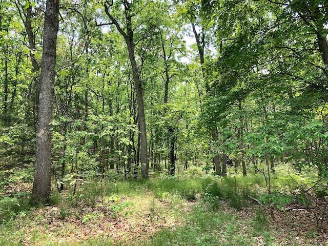 view of local wilderness featuring a view of trees