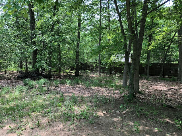 view of local wilderness with a forest view