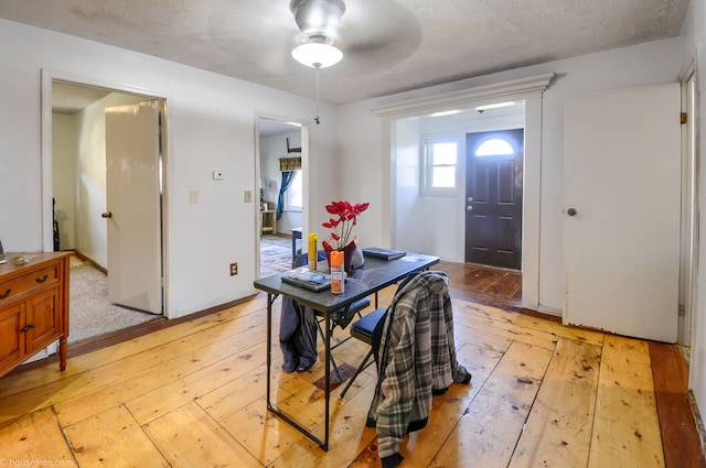 foyer entrance with light wood-style floors