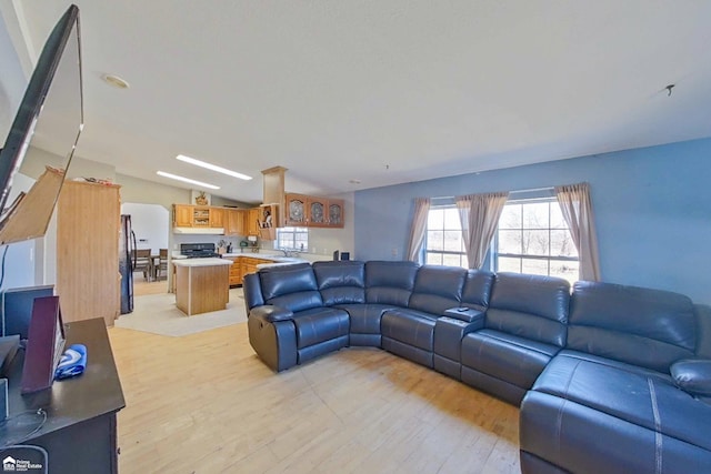 living area featuring light wood-type flooring and lofted ceiling