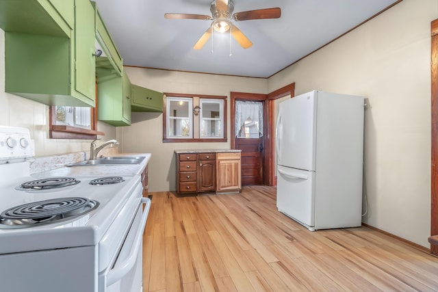 kitchen featuring green cabinetry, light wood-type flooring, white appliances, a ceiling fan, and a sink