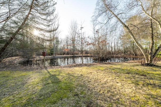 view of yard featuring a water view