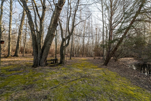 view of local wilderness