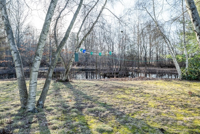 view of yard featuring a water view