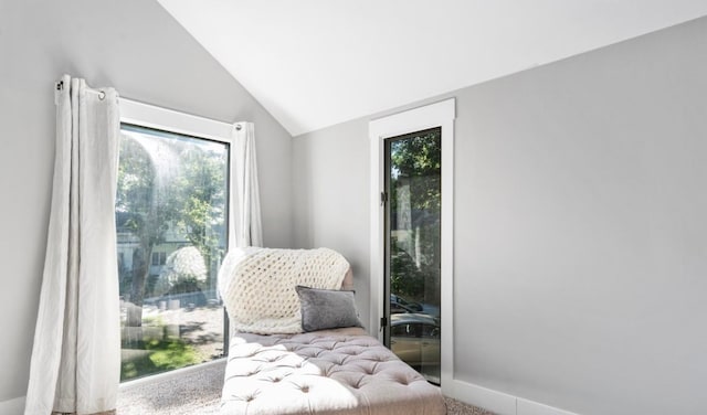 living area featuring baseboards and lofted ceiling