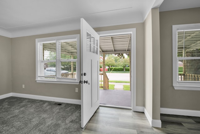 foyer entrance featuring plenty of natural light, wood finished floors, and baseboards