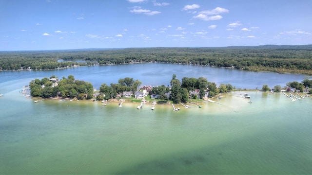 birds eye view of property with a view of trees and a water view